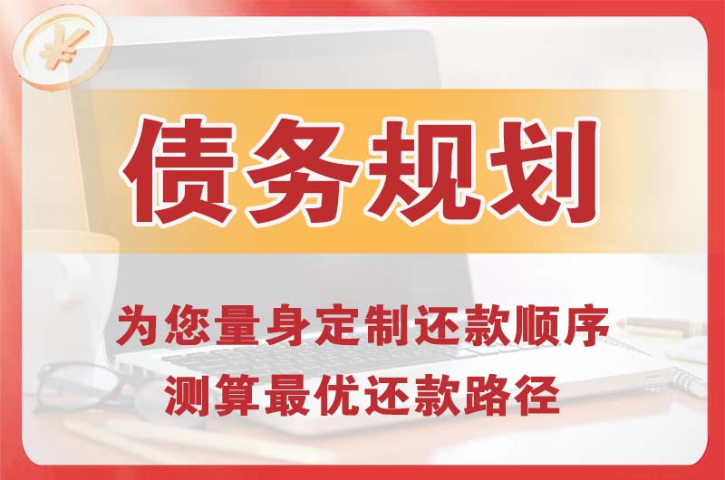 肥东债务规划